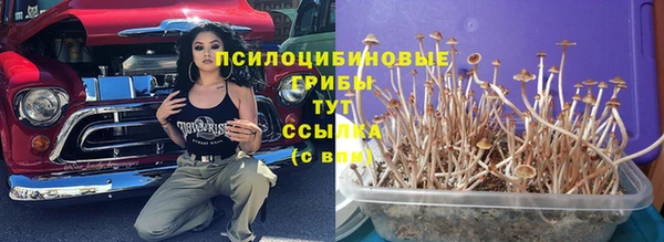стаф Алексеевка