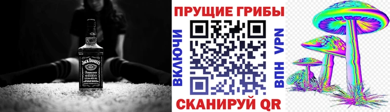 Псилоцибиновые грибы Psilocybe  omg   Кедровый  закладка 